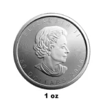Canadian Platinum Maple Leaf Coin