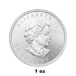 1 oz Canadian Palladium Maple Leaf Coin